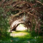 Faeries_Path